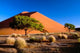 Art print of Trees with Sossosvlei Dunes in Namib-Naukluft Park, Namibia by Art Wolfe