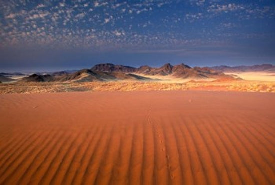 Sand Patterns in Sossusvlei Dunes, Namibia Poster Print by Art Wolfe