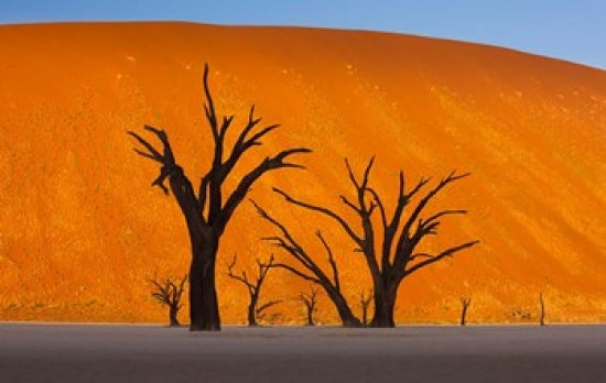 Namib-Naukluft National Park Poster Print by Art Wolfe showcasing breathtaking desert landscapes.