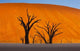 Namib-Naukluft National Park Poster Print by Art Wolfe showcasing breathtaking desert landscapes.