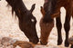 http://c328301.r1.cf1.rackcdn.com/PDDAF31BJA0156.jpg