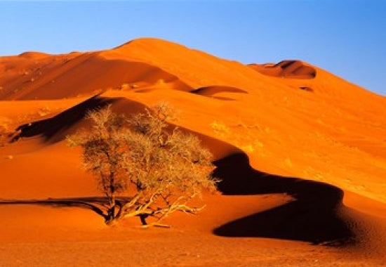 Elim Dune Overcomes art print showcasing the scenic dunes of Sesriem, Namib Naukluft Park in Namibia.