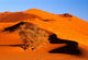 Elim Dune Overcomes art print showcasing the scenic dunes of Sesriem, Namib Naukluft Park in Namibia.