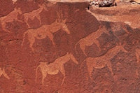 Ancient rock etchings poster print from Twyfelfontein, Namibia.