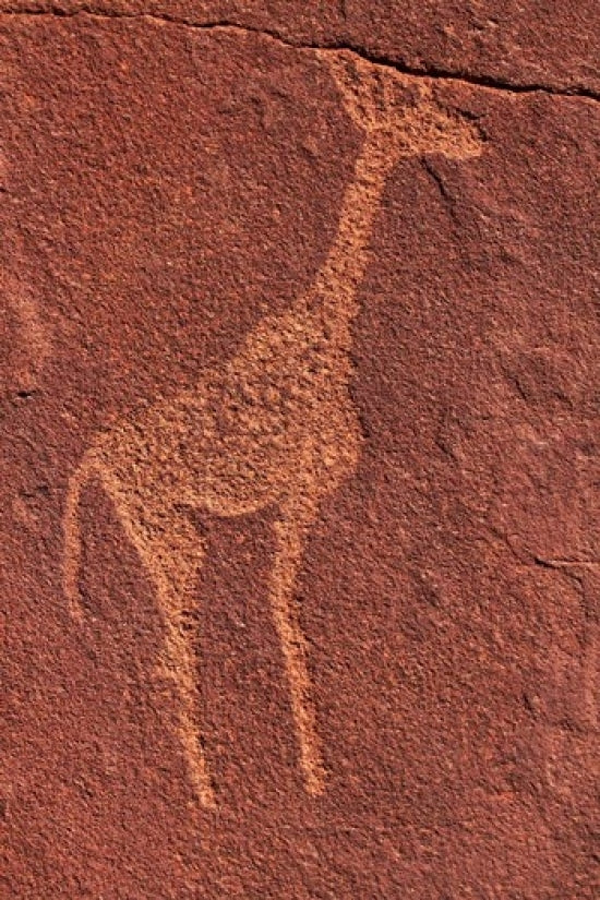 Ancient rock etchings at Twyfelfontein, Damaraland, Namibia poster print