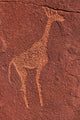 Ancient rock etchings at Twyfelfontein, Damaraland, Namibia poster print