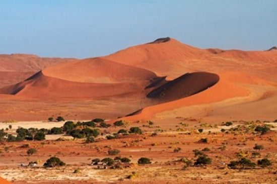 Sand Dune at Sossusvlei poster print by David Wall, Namib-Naukluft National Park.