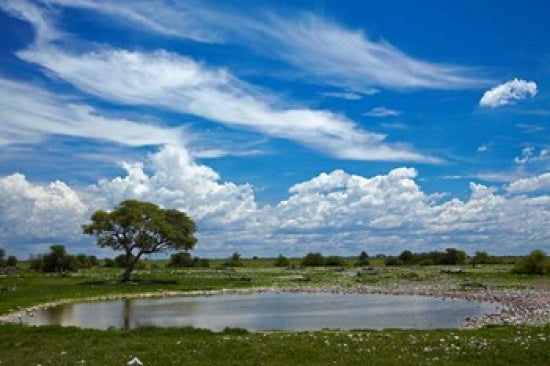 Okaukuejo Waterhole print showcasing wildlife in Etosha National Park, Namibia.
