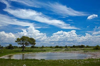 Okaukuejo Waterhole print showcasing wildlife in Etosha National Park, Namibia.
