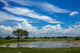 Okaukuejo Waterhole print showcasing wildlife in Etosha National Park, Namibia.