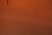 Sand Dune Patterns Fine Art Print by David Wall capturing Namibia's desert beauty.