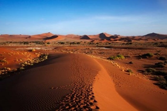 Sand dune landscape near Sossusvlei, Namibia poster print by David Wall.