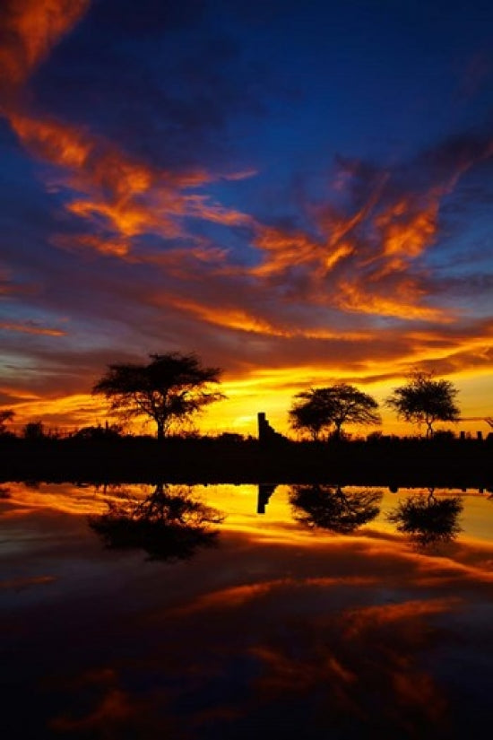 Sunrise at Okaukuejo Rest Camp poster print by David Wall, capturing the beauty of Etosha National Park in Namibia.