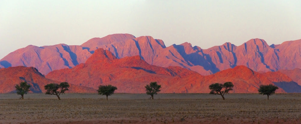 Tree with mountain in Southern Namib Desert poster print by Keren Su.