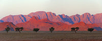 Tree with mountain in Southern Namib Desert poster print by Keren Su.