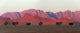 Tree with mountain in Southern Namib Desert poster print by Keren Su.