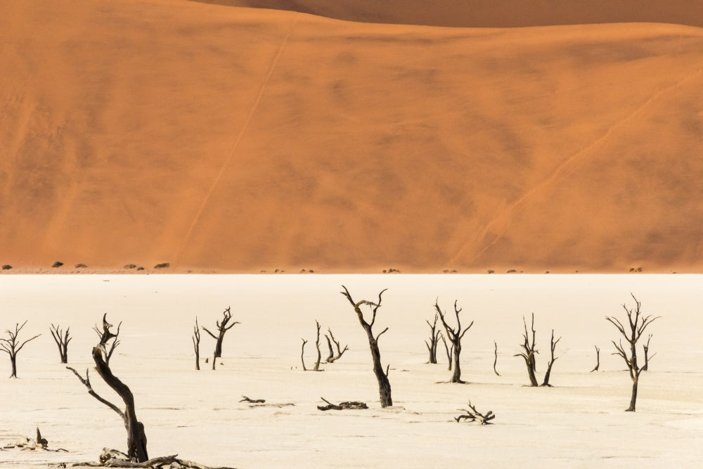 Dead acacia trees in Deadvlei, Sossusvlei, Namib-Naukluft National Park Poster Print by Keren Su