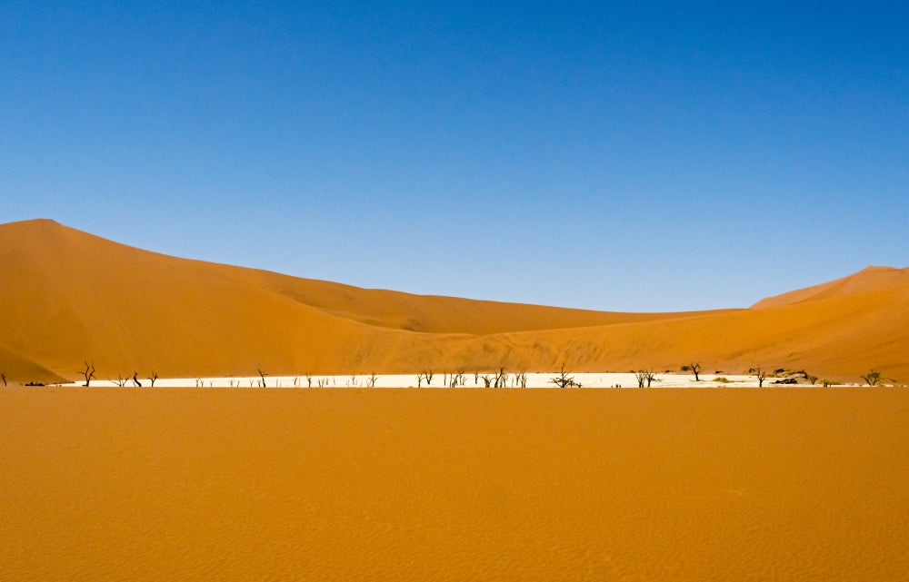 Dead acacia trees in Deadvlei, Sossusvlei fine art print by Keren Su.