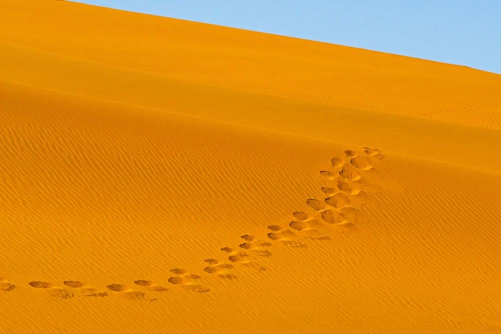 Footprints on red sand dune in Namib Desert poster print by Keren Su.