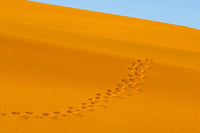 Footprints on red sand dune in Namib Desert poster print by Keren Su.