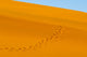 Footprints on red sand dune in Namib Desert poster print by Keren Su.