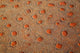 Fairy circles landscape poster print from Namib-Rand Nature Reserve by Kymri Wilt