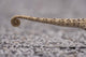 Flap Necked Chameleon Poster Print by Paul Souders featuring vibrant colors.
