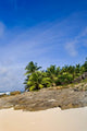 Anse Bambous Beach Fine Art Print by Alison Wright