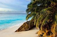 Ansi Victorin Beach Poster Print by Alison Wright showcasing tropical beauty