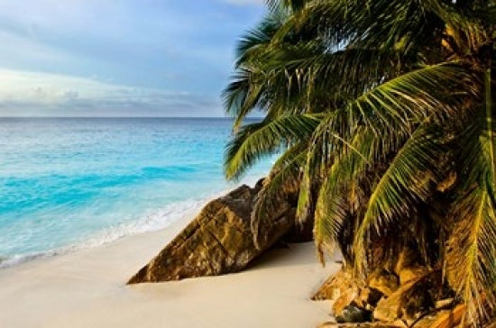 Ansi Victorin Beach Art Print by Alison Wright depicting serene tropical scenery.