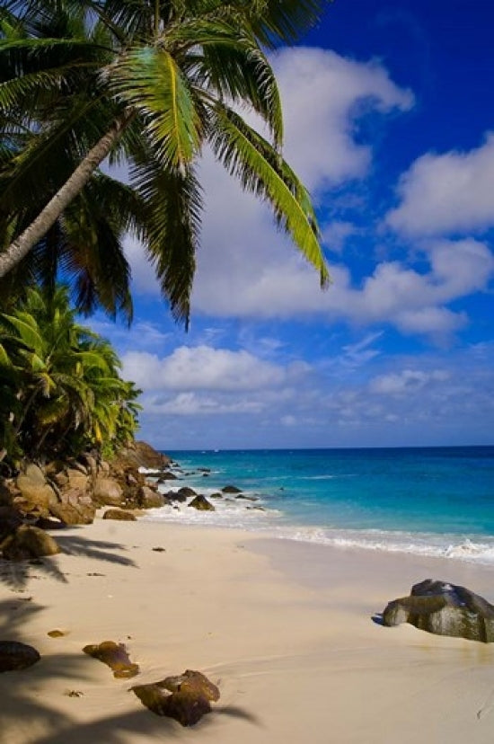 Serene Anse Victorin Beach Poster Print by Alison Wright