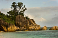 Anse-Source D'Argent coastline poster print by Alison Wright