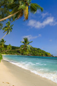 Beach at Chez Batista's Restaurant Fine Art Print by Alison Wright