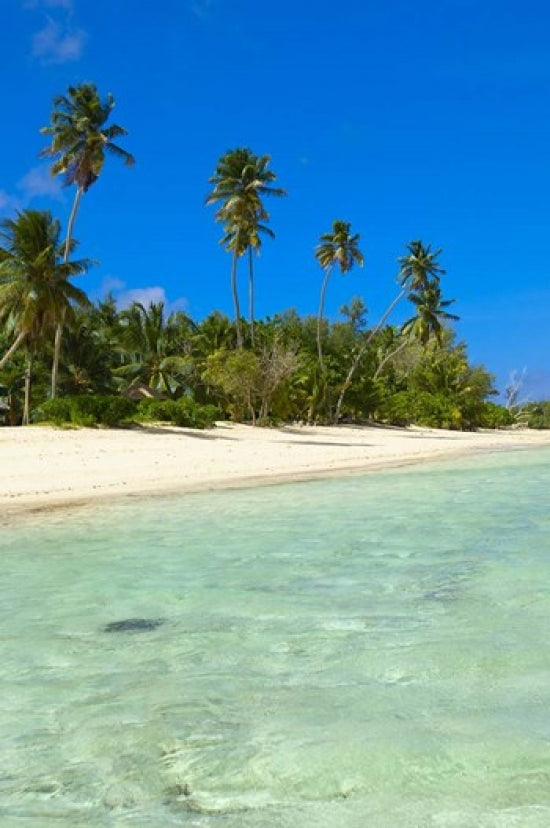 Beach Scene Poster Print featuring Desroches Resort, Seychelles by Alison Wright