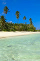 Beach Scene Poster Print featuring Desroches Resort, Seychelles by Alison Wright