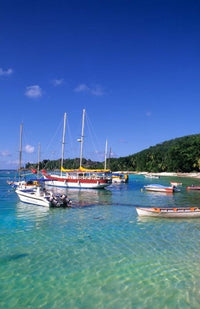 Boats at La Digue Beach, Seychelles Poster Print by Bill Bachmann