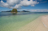 Seychelles Island of La Digue Art Poster Print by Cindy Miller Hopkins