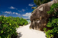 Anse Source D'Agent white sand beach poster print by Cindy Miller Hopkins.