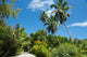 Remote Island Path Poster Print of Seychelles La Digue by Cindy Miller Hopkins