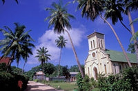 St Mary's Church and Palm Trees Art Print by Nik Wheeler