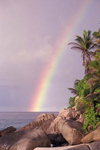 Rainbow Over Tropical Beach of Anse Victorin Seychelles Poster Print