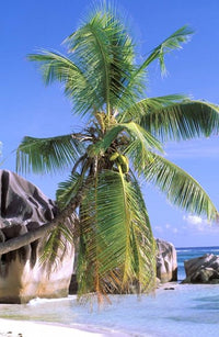 Granite Outcrops, La Digue Island, Seychelles Art Print by Pete Oxford