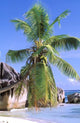 Granite Outcrops, La Digue Island, Seychelles Art Print by Pete Oxford