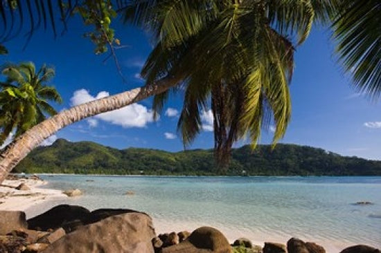 Seychelles Anse a la Mouche Poster Print showcasing Mahe Island by Walter Bibikow.