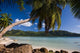 Seychelles Anse a la Mouche Poster Print showcasing Mahe Island by Walter Bibikow.