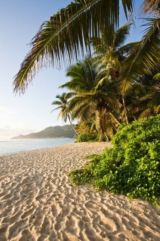 Seychelles, Mahe Island, Anse Marie-Louise dawn poster print by Walter Bibikow.