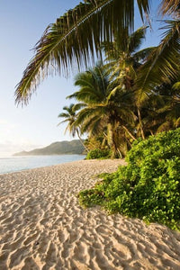 Seychelles, Mahe Island, Anse Marie-Louise dawn poster print by Walter Bibikow.