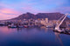 Cape Town Victoria & Alfred Port Poster Print by Cindy Miller Hopkins