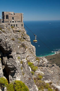 Table Mountain Tram Poster Print by Cindy Miller Hopkins
