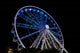 Cape Wheel at Victoria and Alfred Waterfront in Cape Town, South Africa - Poster Print
